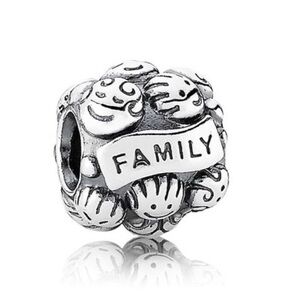 PANDORA Love & Family Charm 791039